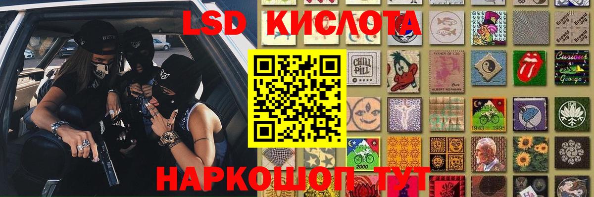 LSD-25 экстази кислота  ЛСД экстази кислота  Вход с VPN  Бердск 