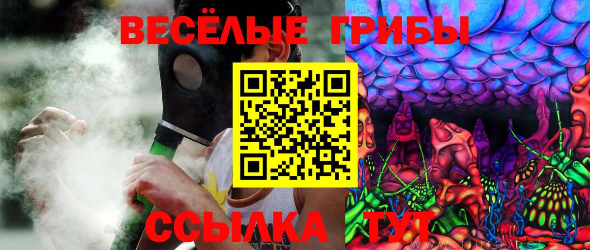 Галлюциногенные грибы мухоморы  Вход с VPN  Бердск 